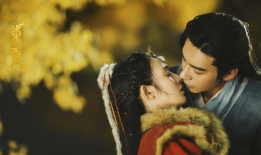 东宫电视剧剧情介绍,宫廷权谋，爱恨交织的宫廷传奇